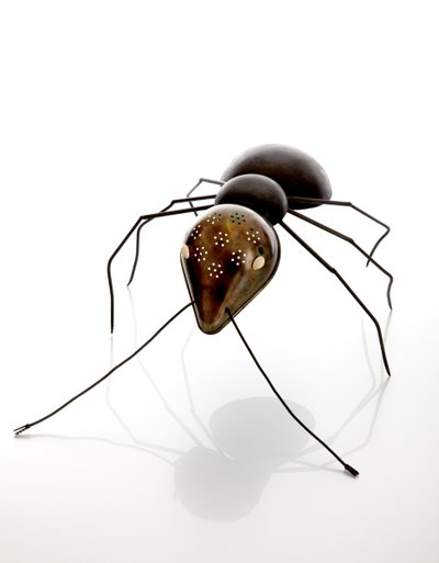 Ant by Lawrie Simonson
